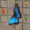 Butterfly Memory Match